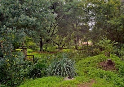 Photos of Little Rock Resort