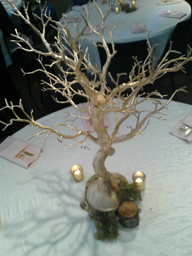 Performing Arts Theater «Dallas Theater Civic Center», reviews and photos, 208 Main St, Dallas, GA 30132, USA