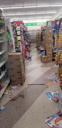 Dollar Store «Dollar Tree», reviews and photos, 1551 Missouri Ave N, Largo, FL 33770, USA