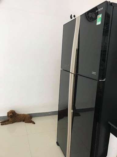 Top 5 cửa hàng hitachi Huyện Văn Quan Lạng Sơn 2022