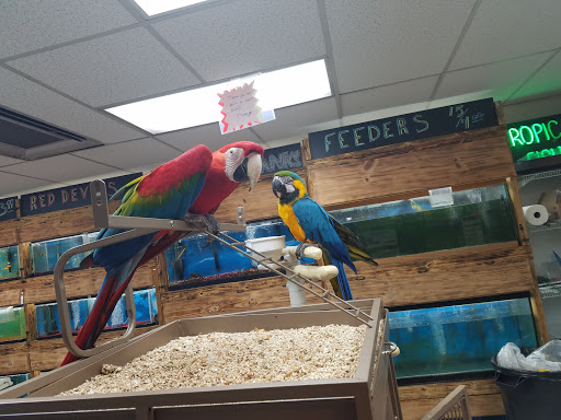 Pet Store «Feed-Rite Pet Supply», reviews and photos, 2979 Fort St, Lincoln Park, MI 48146, USA