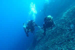 Diving Ibiza image