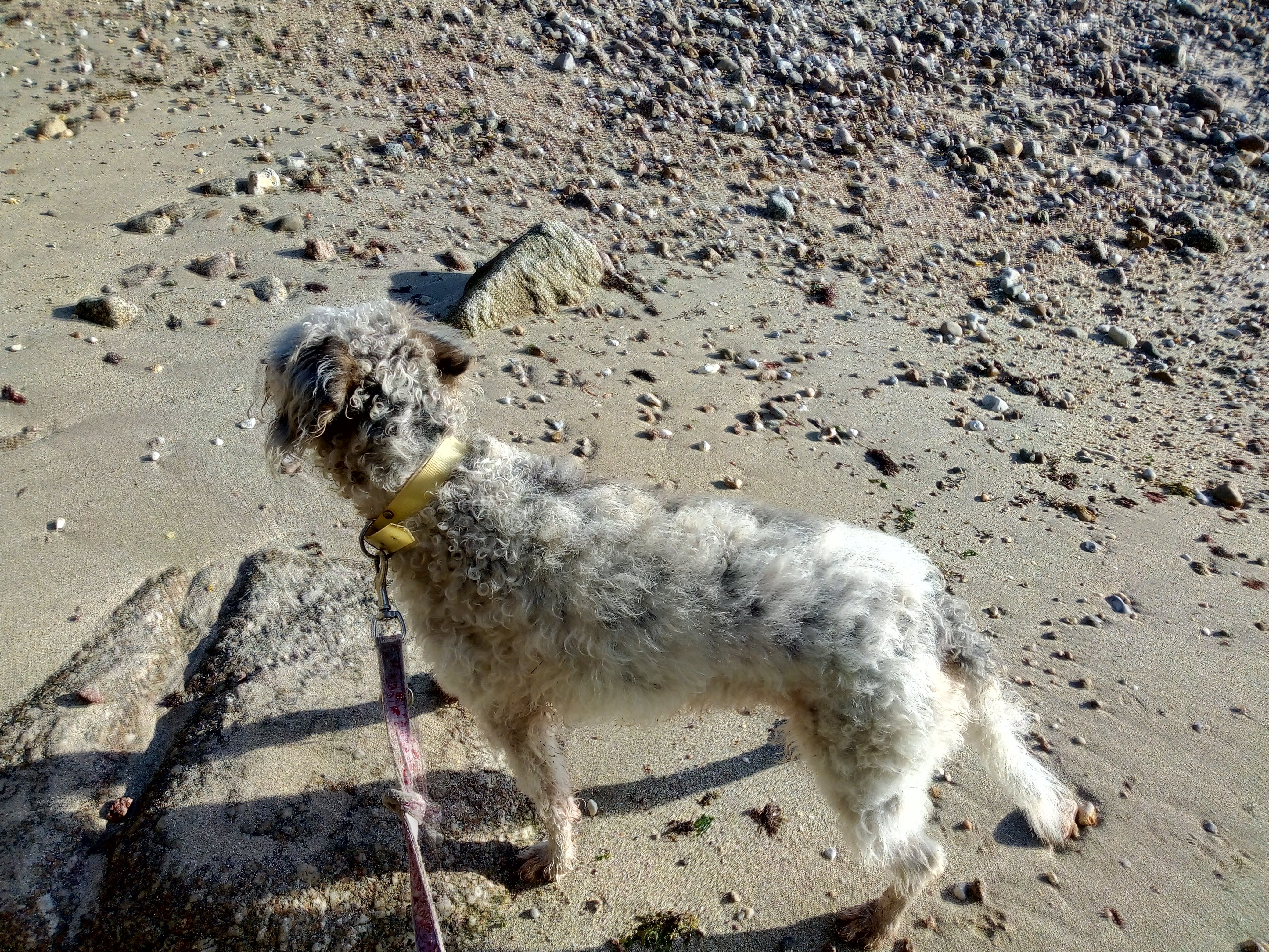 Photo n° 1 de l'avis de Véronique.e fait le 21/01/2020 à 17:35