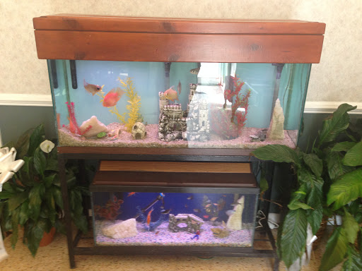 Funeral Home «Riverdale Funeral Home Inc», reviews and photos, 5044 Broadway, New York, NY 10034, USA