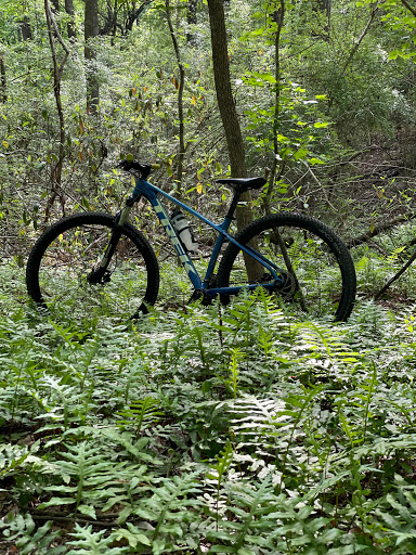 Bicycle Store «Trek Bicycle Store Tuscaloosa», reviews and photos, 1800 McFarland Blvd E #120, Tuscaloosa, AL 35404, USA