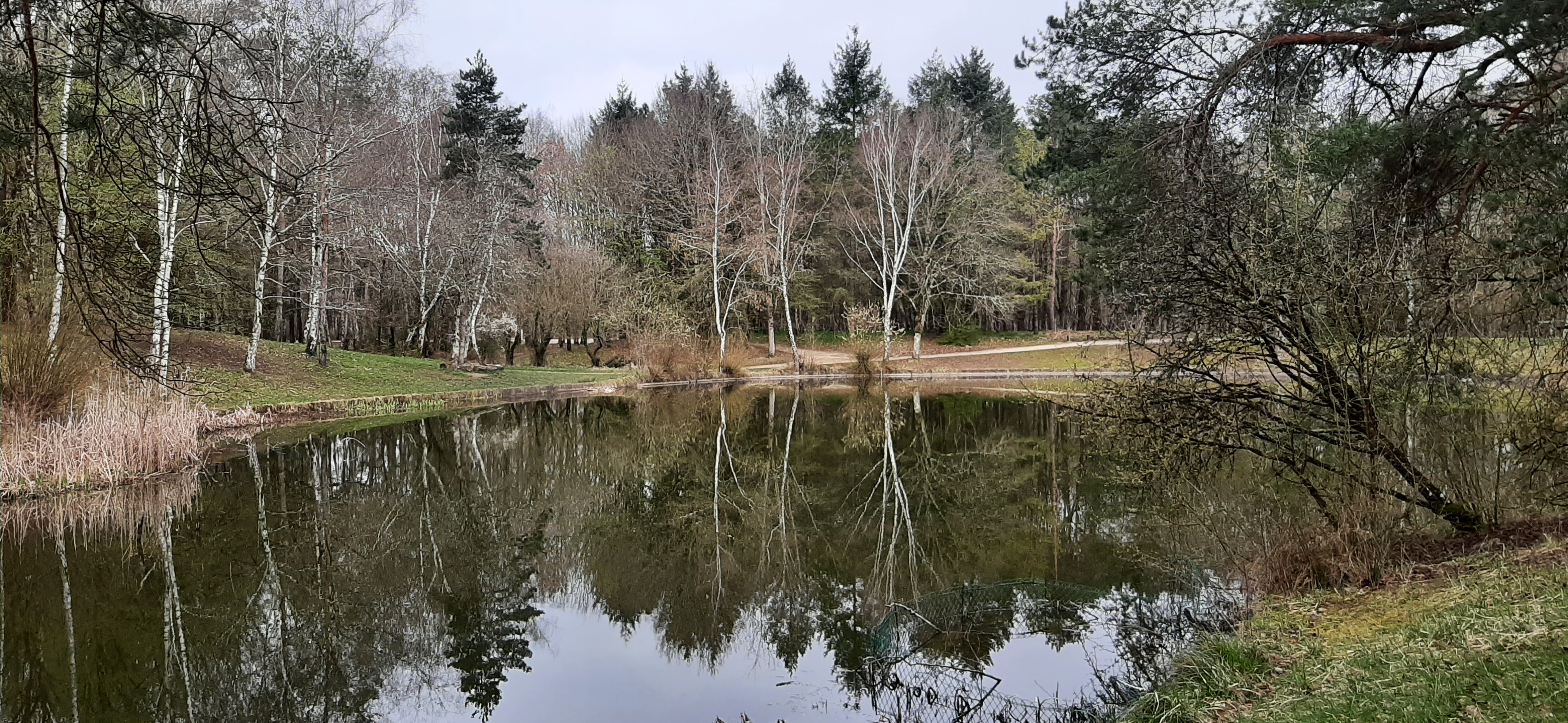 Photo n° 1 de l'avis de Brigitte.l fait le 02/04/2021 à 11:05
