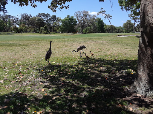 Golf Club «Mount Dora Golf Club», reviews and photos, 1100 S Highland St, Mt Dora, FL 32757, USA
