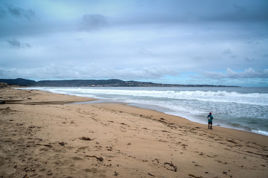 Sand City Beach