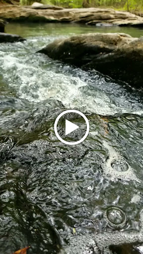 Nature Preserve «Autrey Mill Nature Preserve & Heritage Center», reviews and photos, 9770 Autrey Mill Rd, Johns Creek, GA 30022, USA