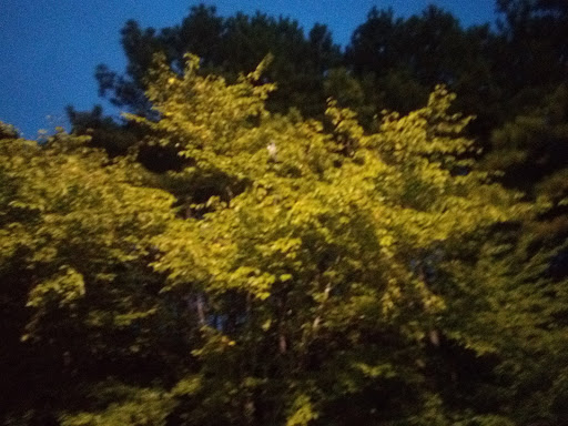 Restaurant «Main Event Entertainment», reviews and photos, 10700 Davis Dr, Alpharetta, GA 30009, USA