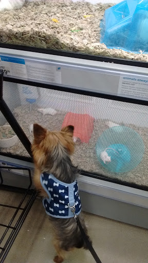 Pet Supply Store «Petco Animal Supplies», reviews and photos, 5925 US-6, Portage, IN 46368, USA