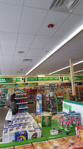 Dollar Store «Dollar Tree», reviews and photos, 435 North Ave, New Rochelle, NY 10801, USA