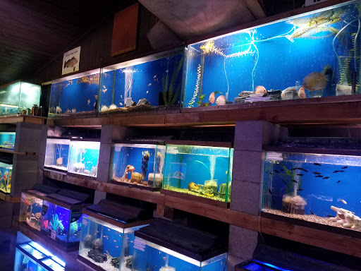 Tropical Fish Store «Midway Tropical Fish & Pets», reviews and photos, 24101 Pacific Hwy S, Kent, WA 98032, USA