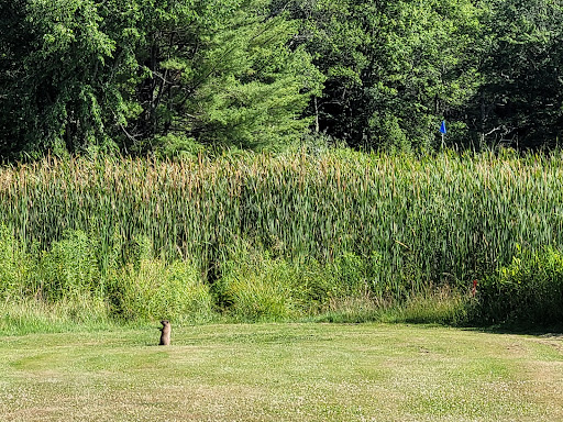 Golf Course «Toddy Brook Golf Course», reviews and photos, 925 Sligo Rd, North Yarmouth, ME 04097, USA