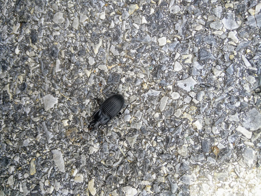 Restaurant «Country Cafe & General Store», reviews and photos, 1715 Washington St, Harpers Ferry, WV 25425, USA