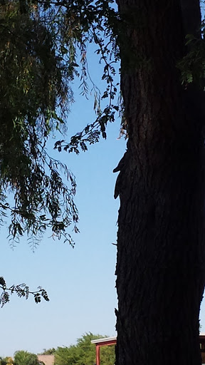 Movie Theater «Regal Cinemas Gilbert 14», reviews and photos, 1012 South Gilbert Road, Gilbert, AZ 85296, USA