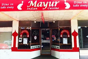 Mayur Indian Cuisine image