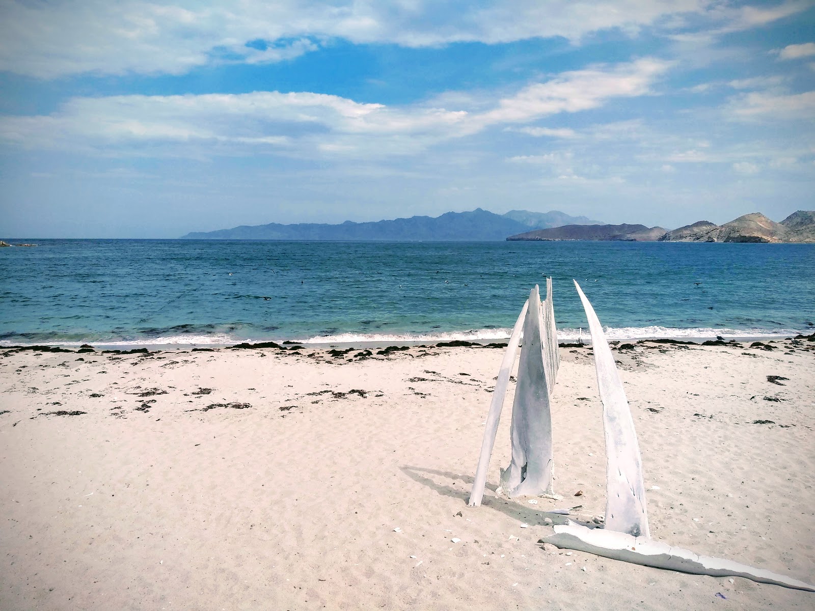 Foto van Playa Las Animas met hoog niveau van netheid