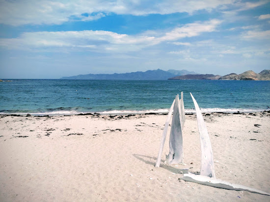 Playa Las Animas