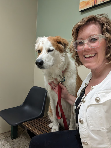 Veterinary Wellness Center of North Canton image