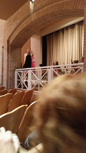 Performing Arts Theater «Falany Performing Arts Center», reviews and photos, 7300 Reinhardt College Pkwy, Waleska, GA 30183, USA