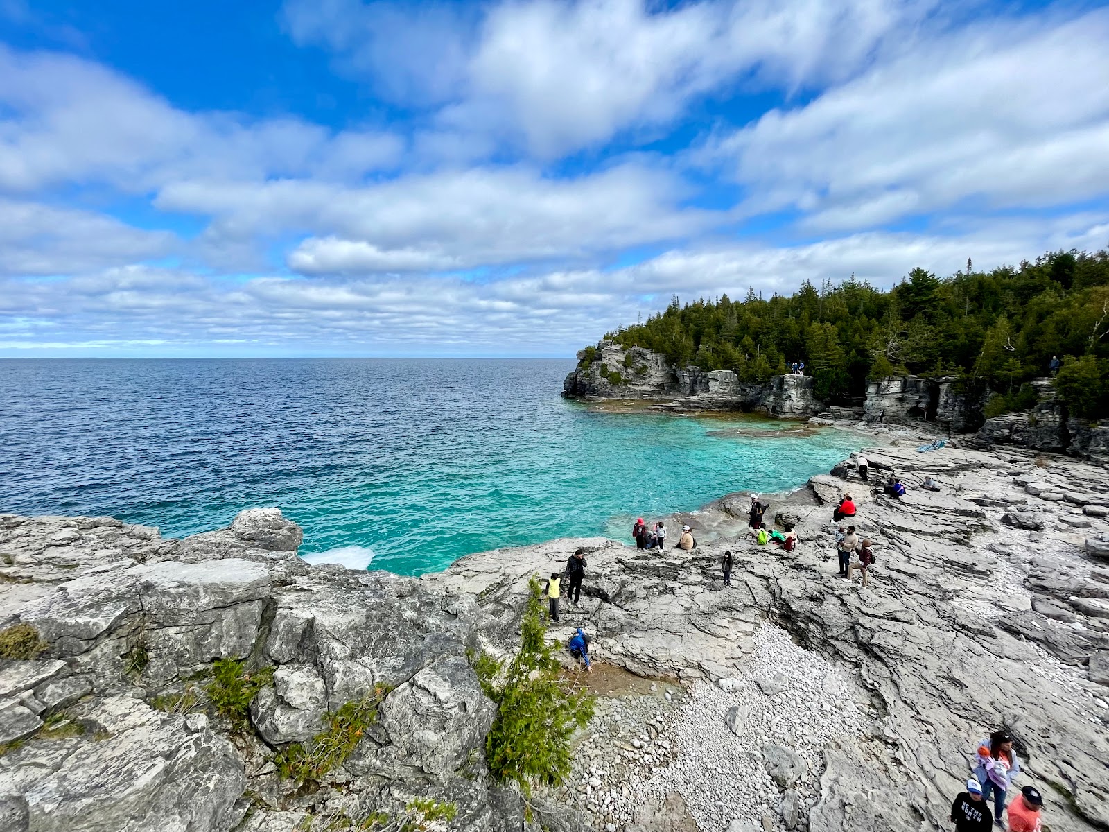 Foto di Indian Head Cove con molto pulita livello di pulizia