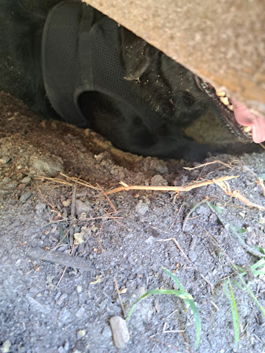 State Park «Breakheart Reservation», reviews and photos, 177 Forest St, Saugus, MA 01906, USA