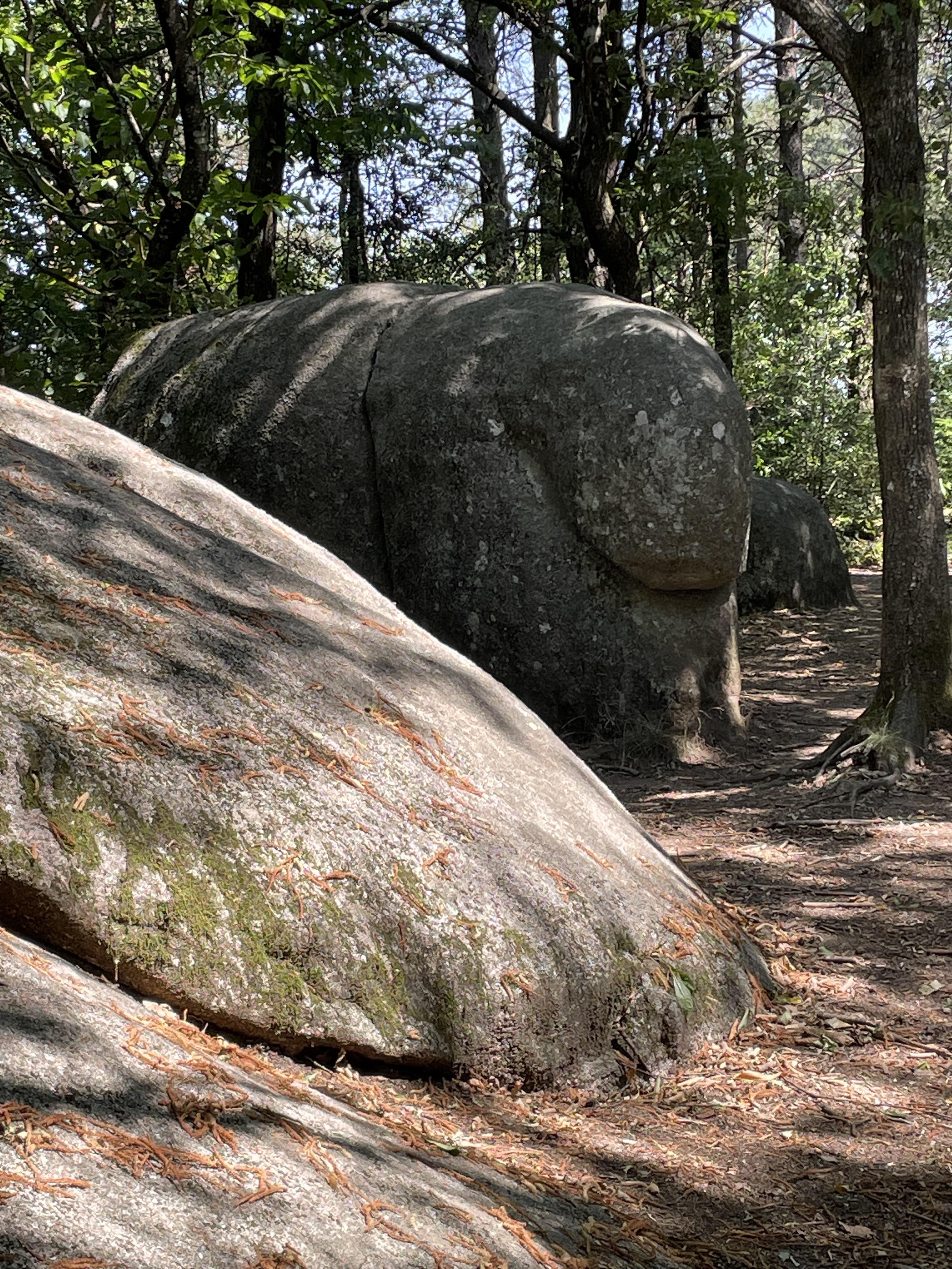 Photo n° 3 de l'avis de Julien.r fait le 20/07/2022 à 16:10
