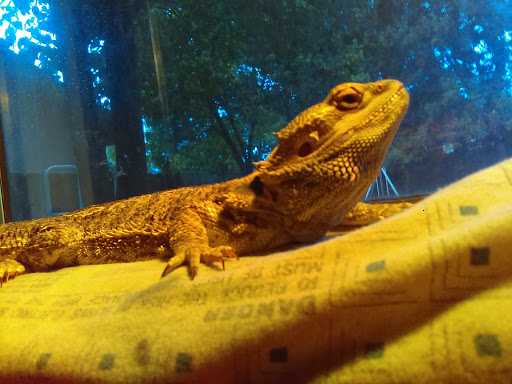 Pet Supply Store «Petco Animal Supplies», reviews and photos, 3444 S Mooney Blvd, Visalia, CA 93277, USA