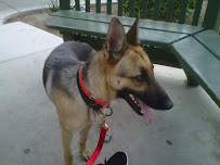 Toby's Pet Care - Photo 4 - Car repair in , Fresno