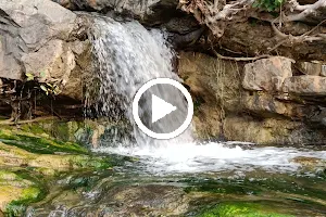 Adavi Palli Water Fall image