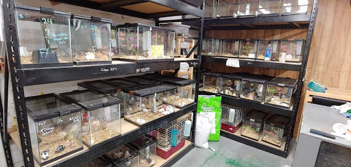 Pet Supply Store «Pet Den», reviews and photos, 1209 Nederland Ave, Nederland, TX 77627, USA