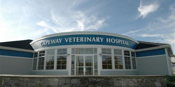 Capeway Veterinary Hospital