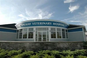 VCA Capeway Animal Hospital image