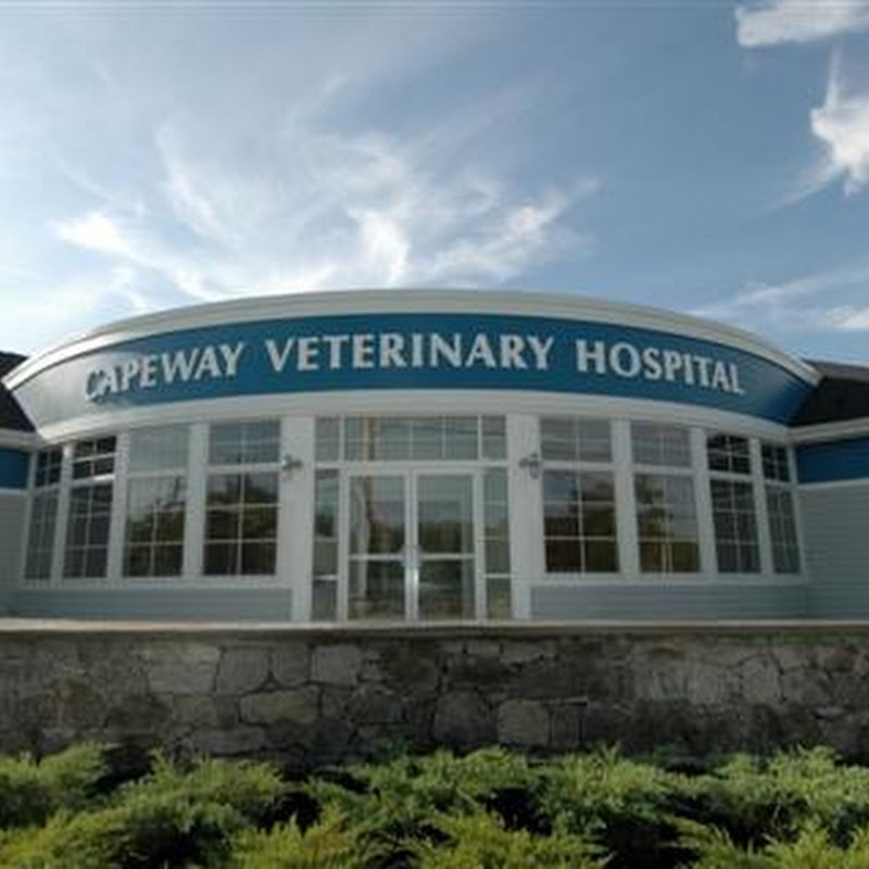 Capeway Veterinary Hospital