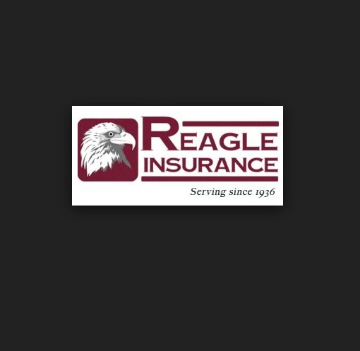 Insurance Agency «Reagle Insurance», reviews and photos