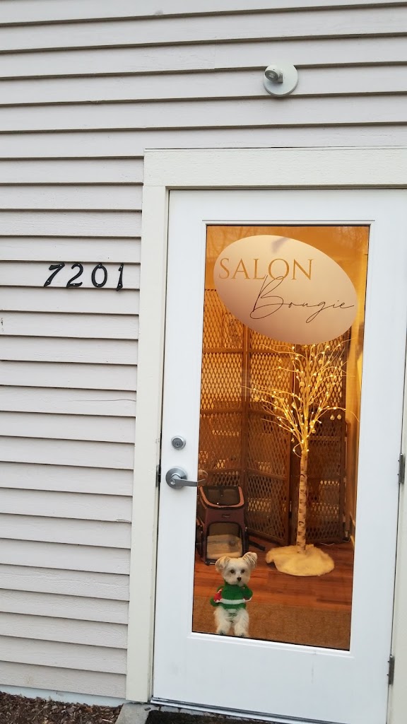 Salon Bougie 49301