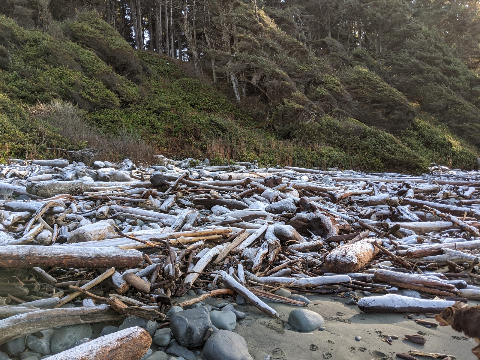 Fotografie cu Hidden Beach cu nivelul de curățenie in medie