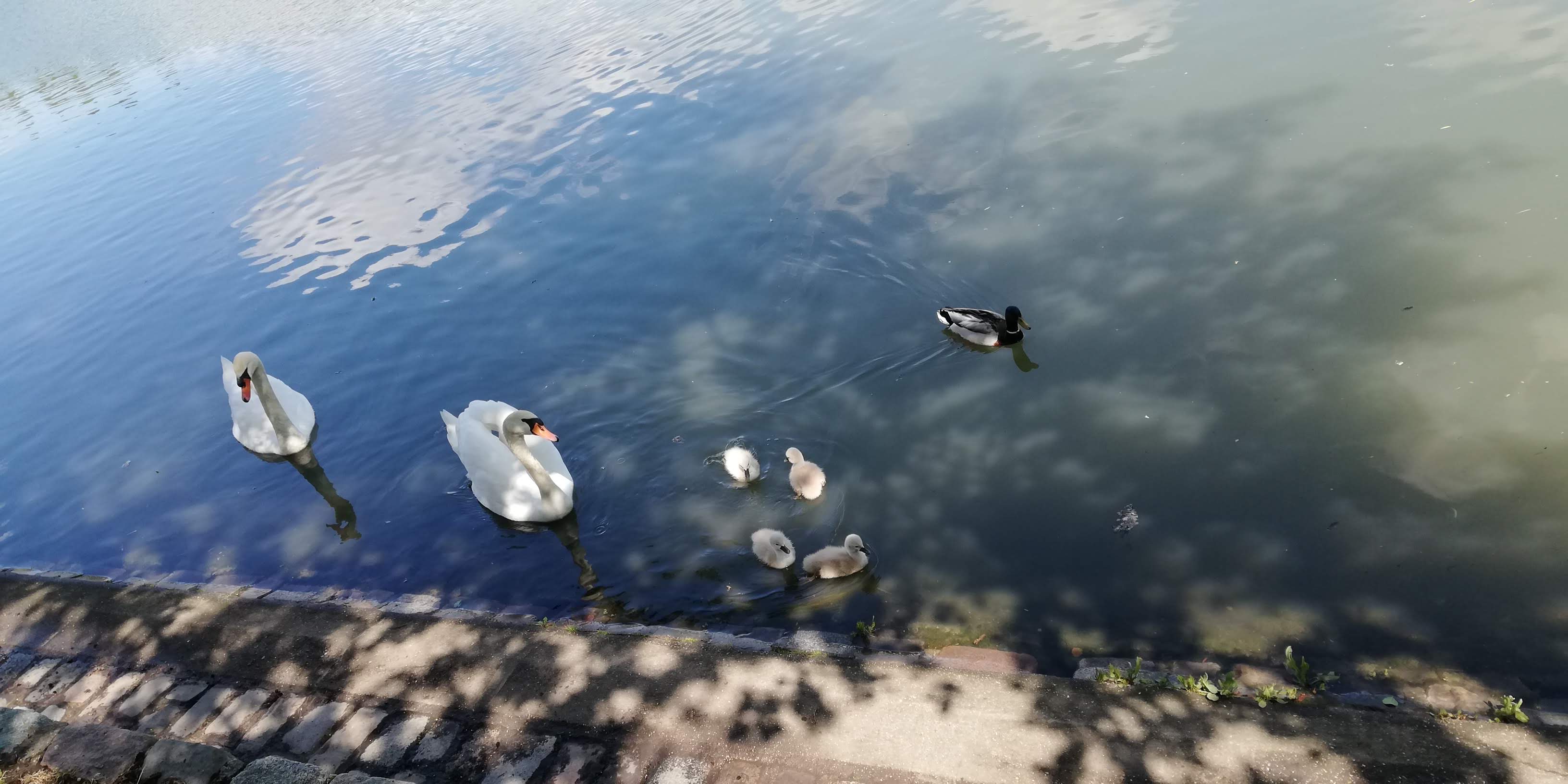 Photo n° 1 de l'avis de Florent. fait le 30/05/2019 à 03:52