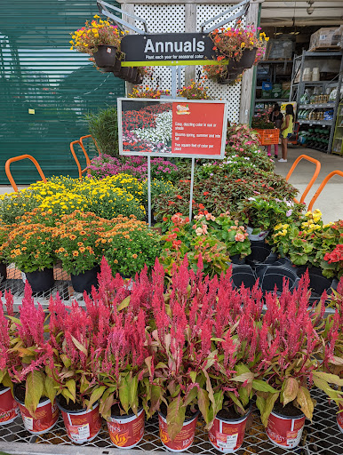 Home Improvement Store «The Home Depot», reviews and photos, 138 Sunset Blvd, New Castle, DE 19720, USA