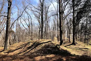 Chickahominy Bluff image