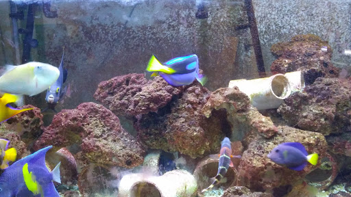 Park «Herrick Park», reviews and photos, Palisade Ave & Herrick Ave, Teaneck, NJ 07666, USA