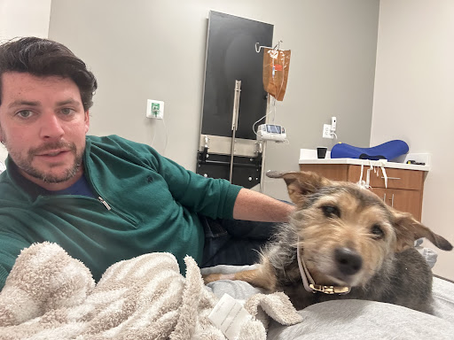 Veterinary Emergency Group image