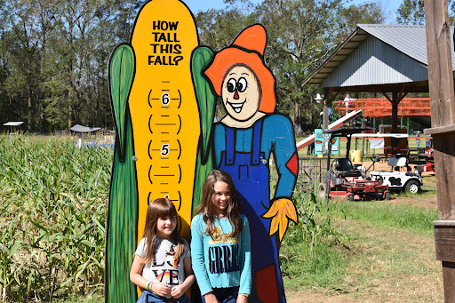 Tourist Attraction «Cajun Country Corn», reviews and photos, 40833 LA-16, Amite City, LA 70422, USA