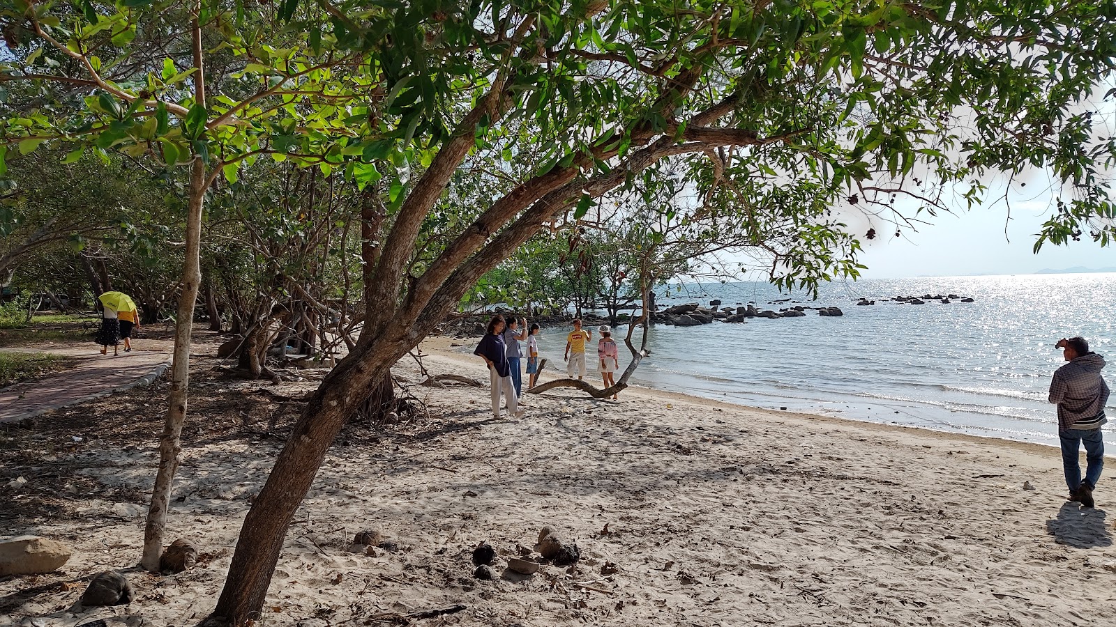 Foto von Two-Colours Beach mit türkisfarbenes wasser Oberfläche