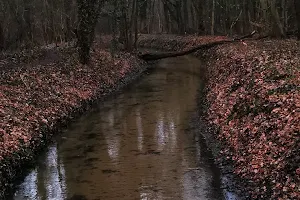 Wietzengrabenbrücke im Misburger-Wald image