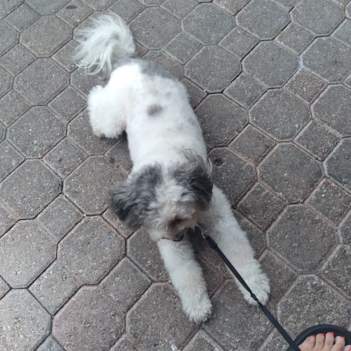 Golf Club «Pompano Beach Golf Shop», reviews and photos, 1101 N Federal Hwy, Pompano Beach, FL 33062, USA