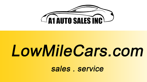 Car Dealer «LowMileCars.Com (A1 AUTO SALES INC)», reviews and photos, 7585 S Madison St, Burr Ridge, IL 60527, USA