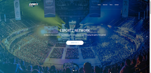 Esportz Entertainment Corp. image