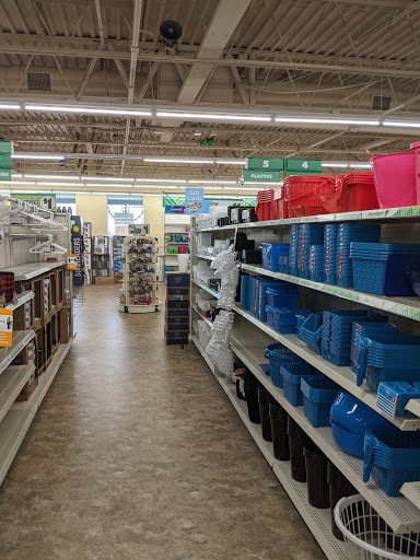 Dollar Store «Dollar Tree», reviews and photos, 6539 Annapolis Rd, Landover Hills, MD 20784, USA